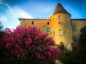 Chateau Gros Puy, Petit Chateau chambre d'hote